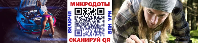 Псилоцибиновые грибы Cubensis  mega tor  Дюртюли  цены  