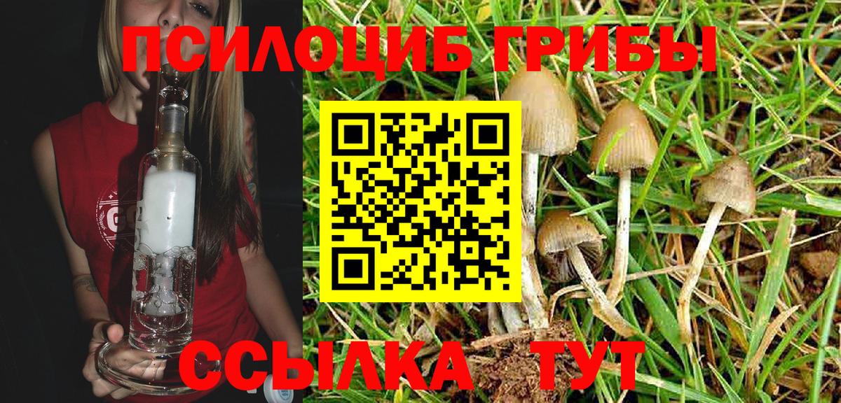 Псилоцибиновые грибы GOLDEN TEACHER  Псилоцибиновые грибы Magic Shrooms  Вход с VPN  купить   Дюртюли 